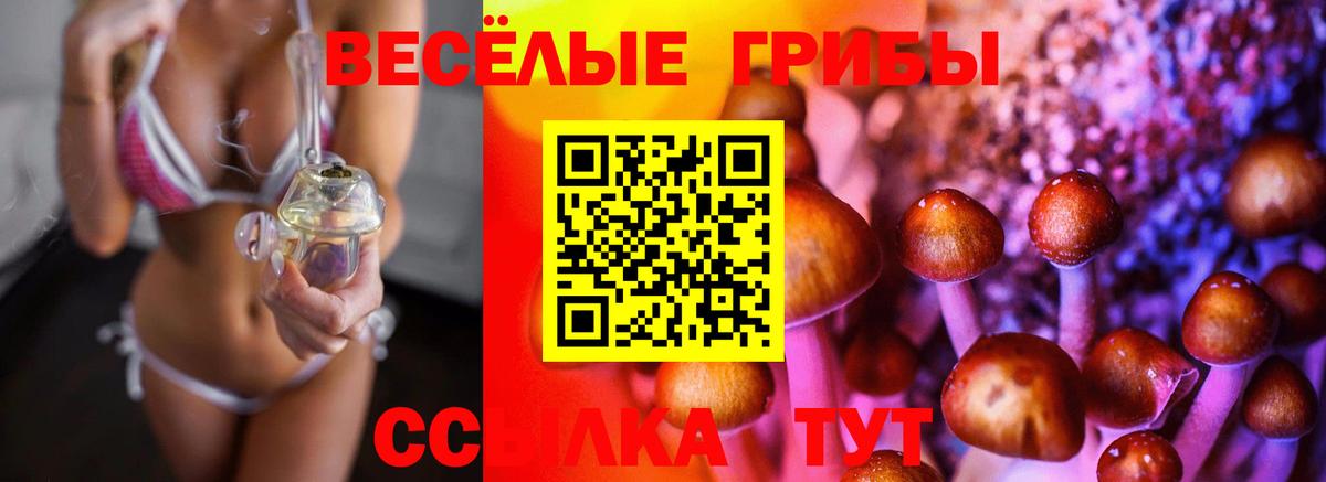 Галлюциногенные грибы ЛСД Саяногорск